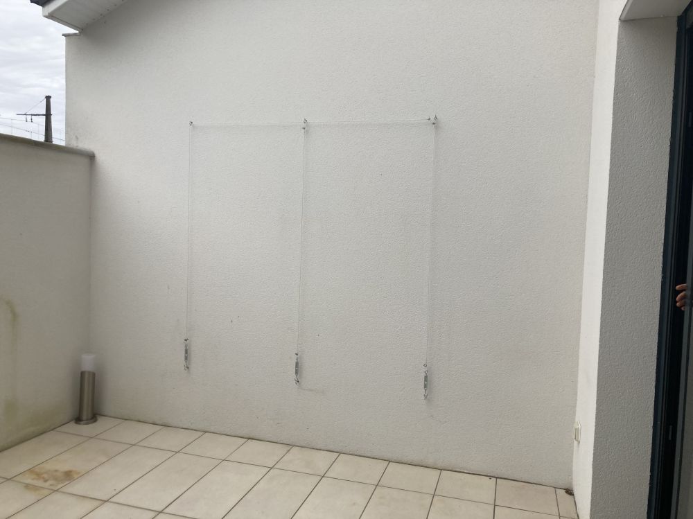 gallery grid image