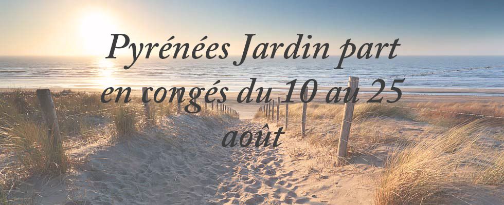 Congés d’été 2019 !