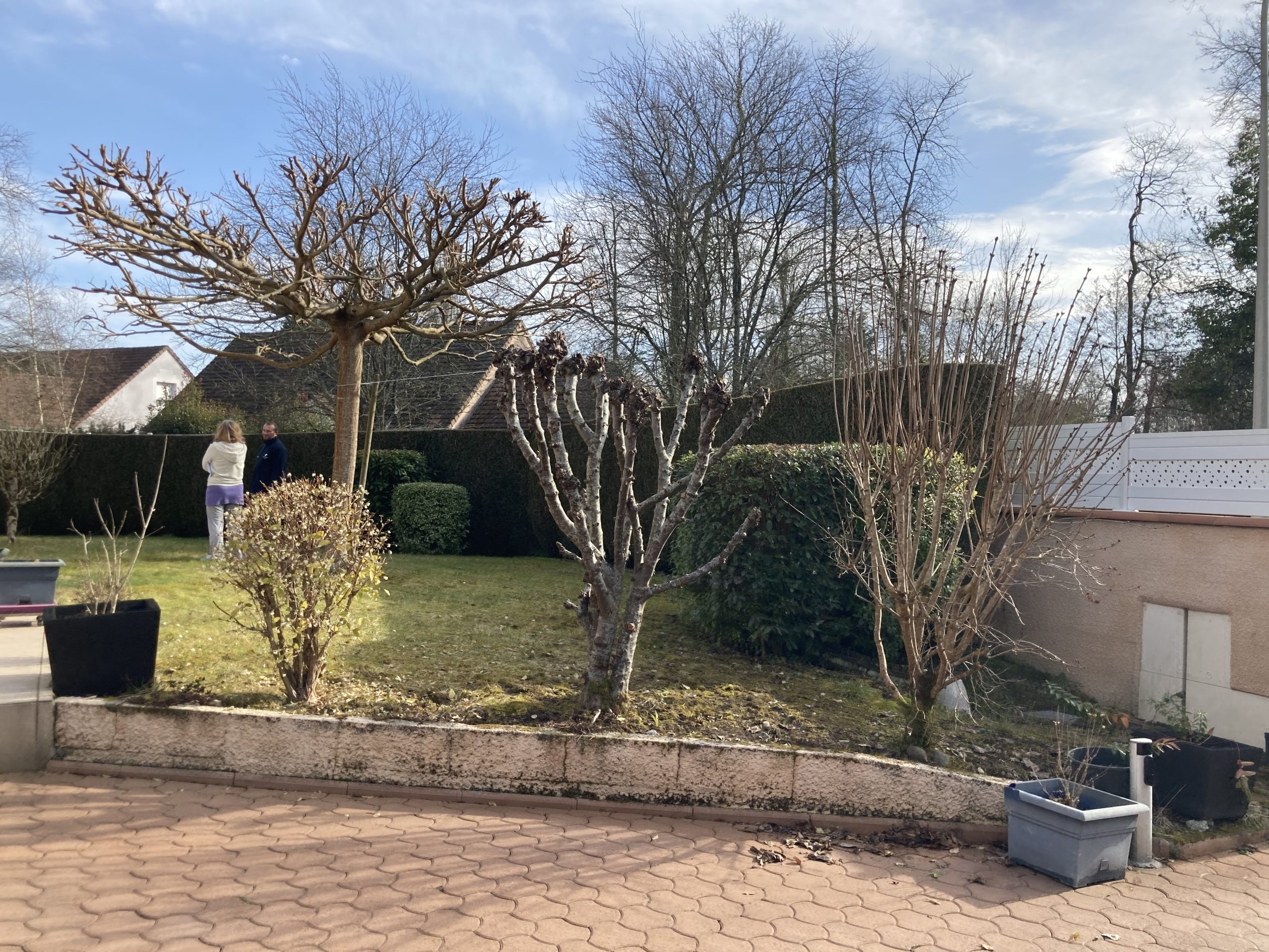 Aménagement d'un jardin complet avec Spa à Lons - (64)