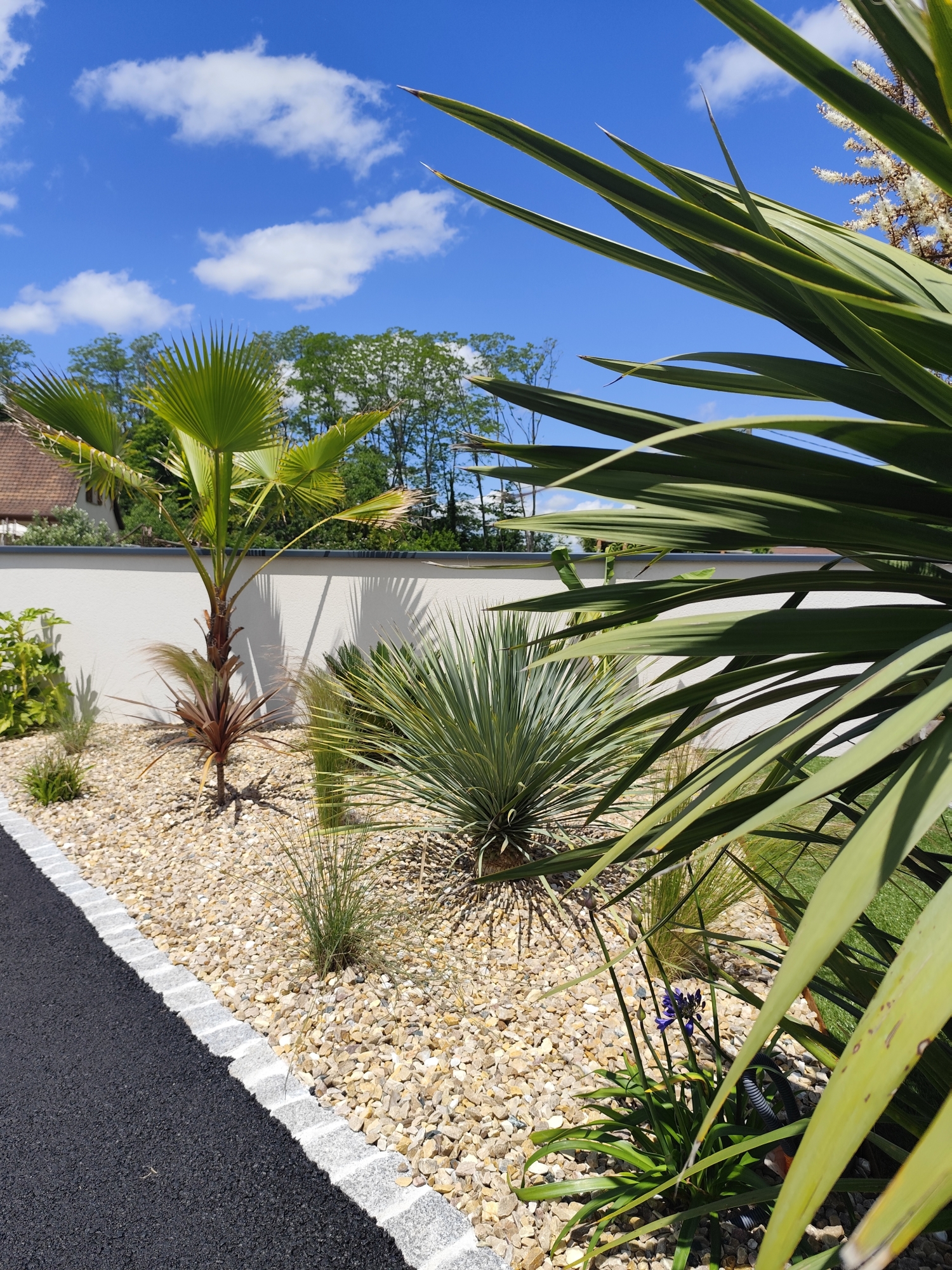 Aménagement paysager pour une entrée de Villa à Monein