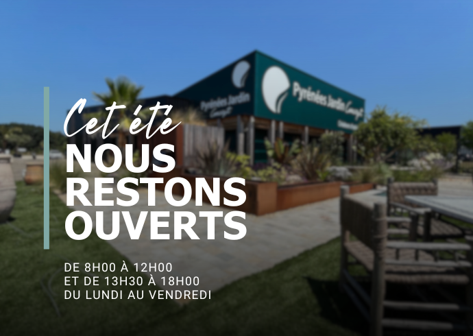 Nous restons ouverts tout le mois d’août !