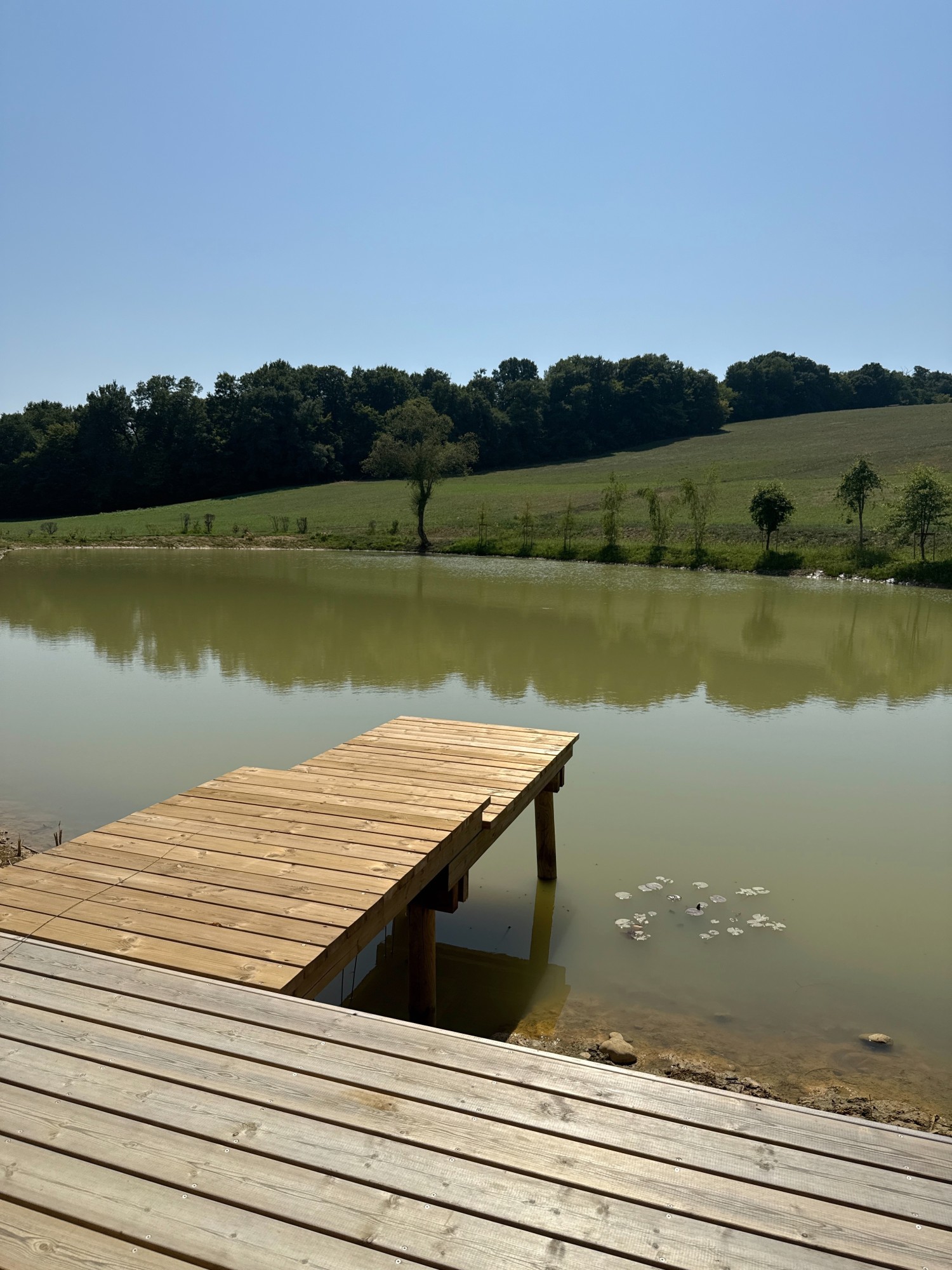 Aménagement extérieur d'un domaine à Baliracq-Maumusson (64)