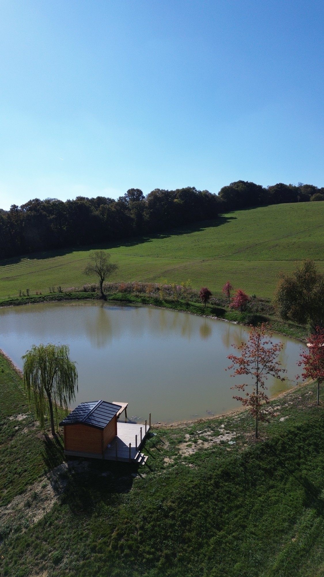 Aménagement extérieur d'un domaine à Baliracq-Maumusson (64)