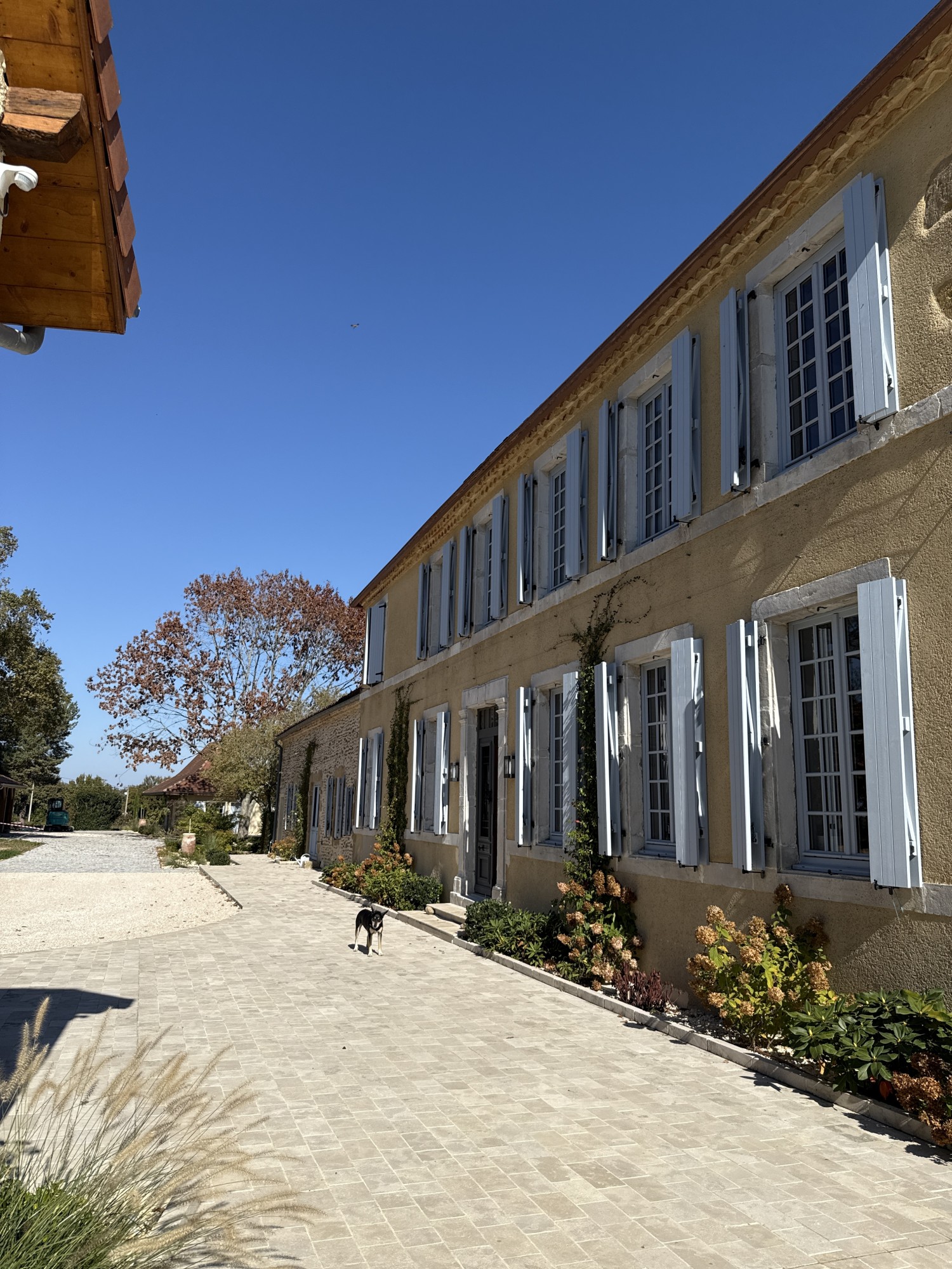 Aménagement extérieur d'un domaine à Baliracq-Maumusson (64)