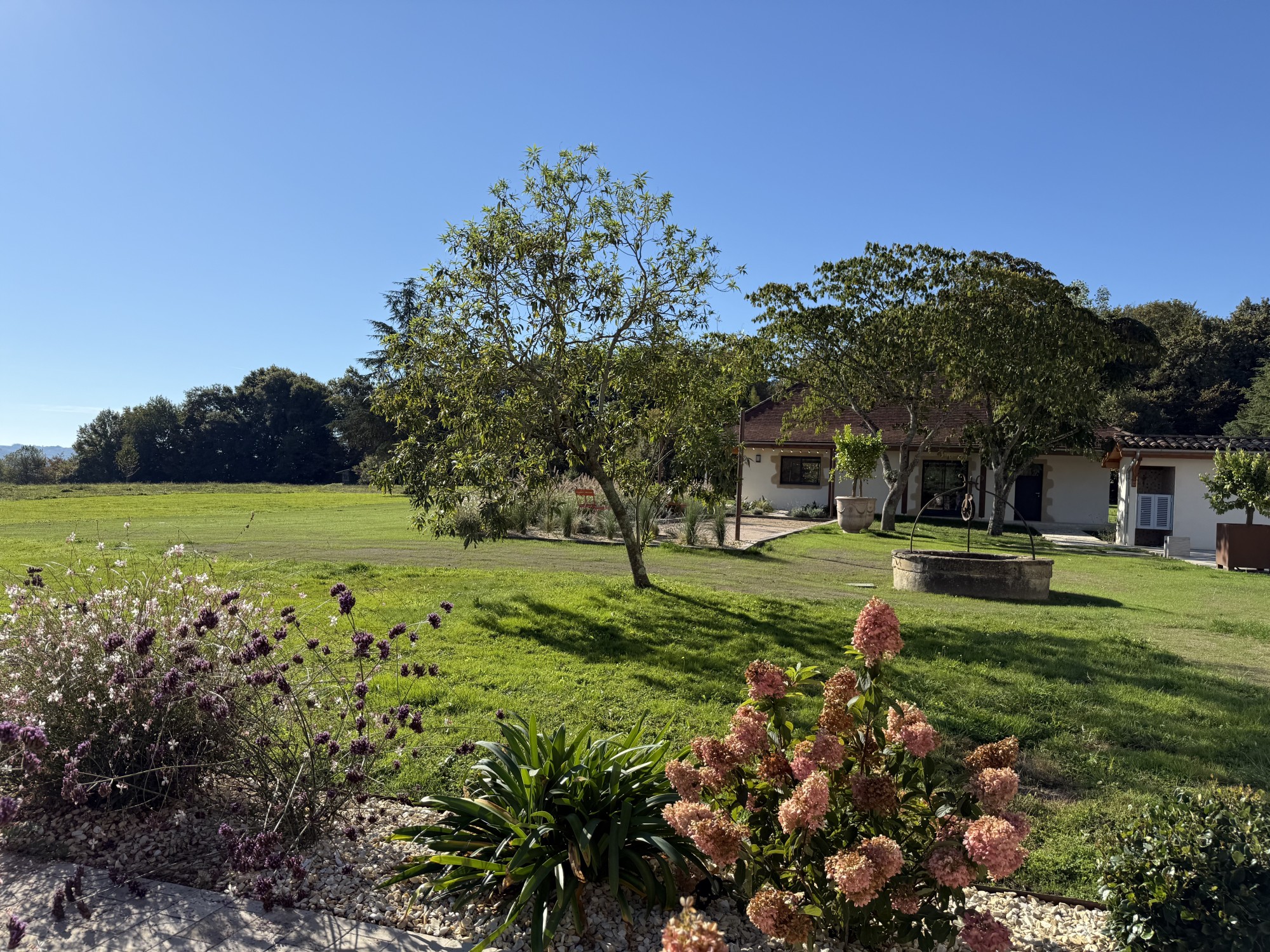 Aménagement extérieur d'un domaine à Baliracq-Maumusson (64)