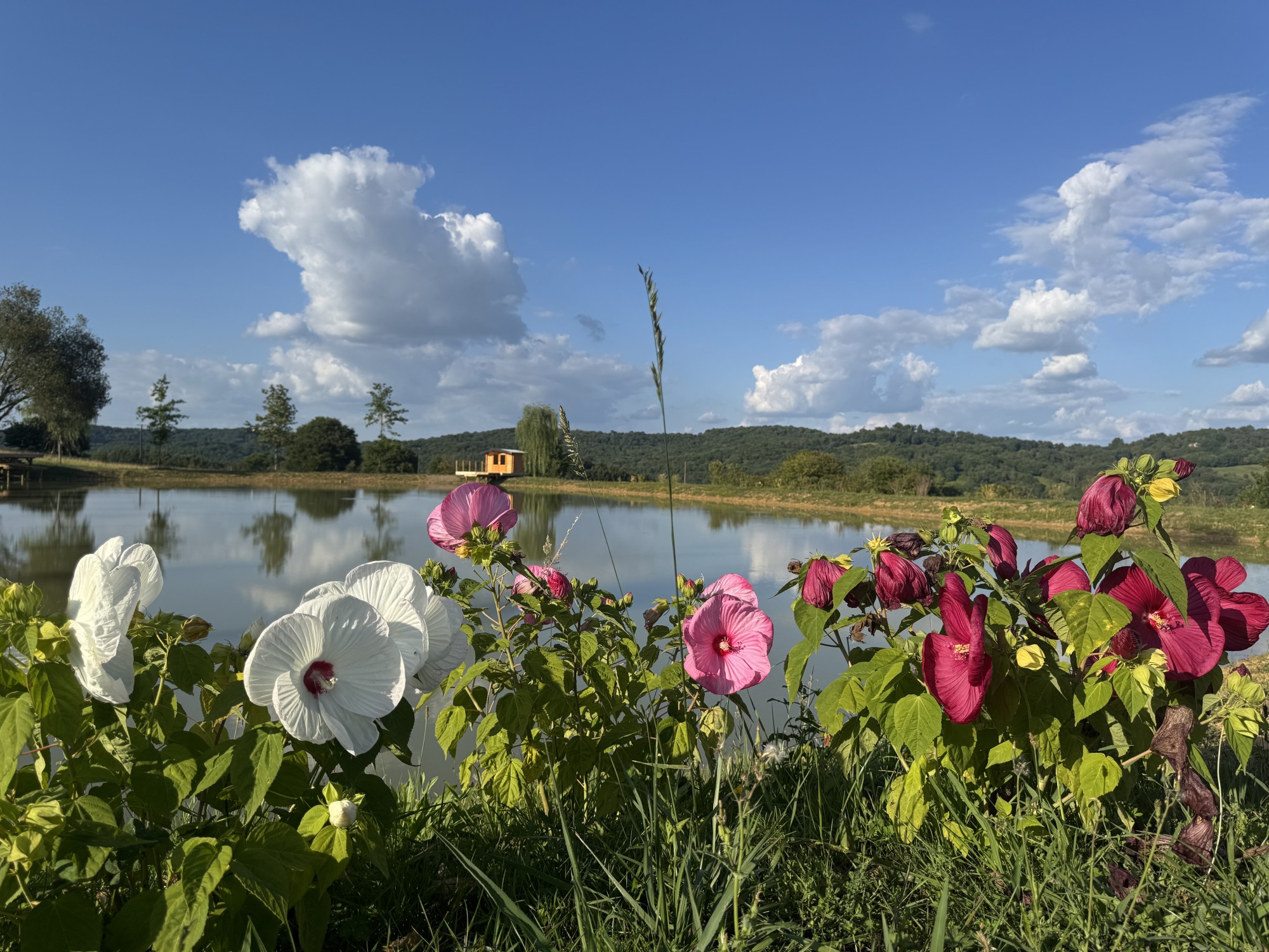 Aménagement extérieur d'un domaine à Baliracq-Maumusson (64)