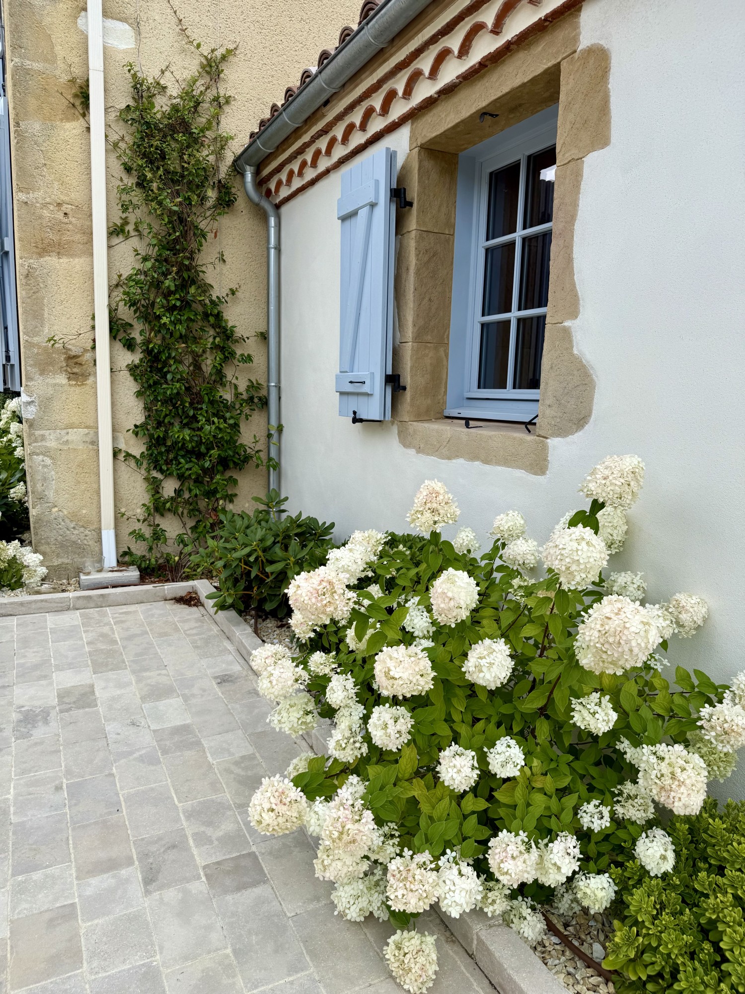 Aménagement extérieur d'un domaine à Baliracq-Maumusson (64)