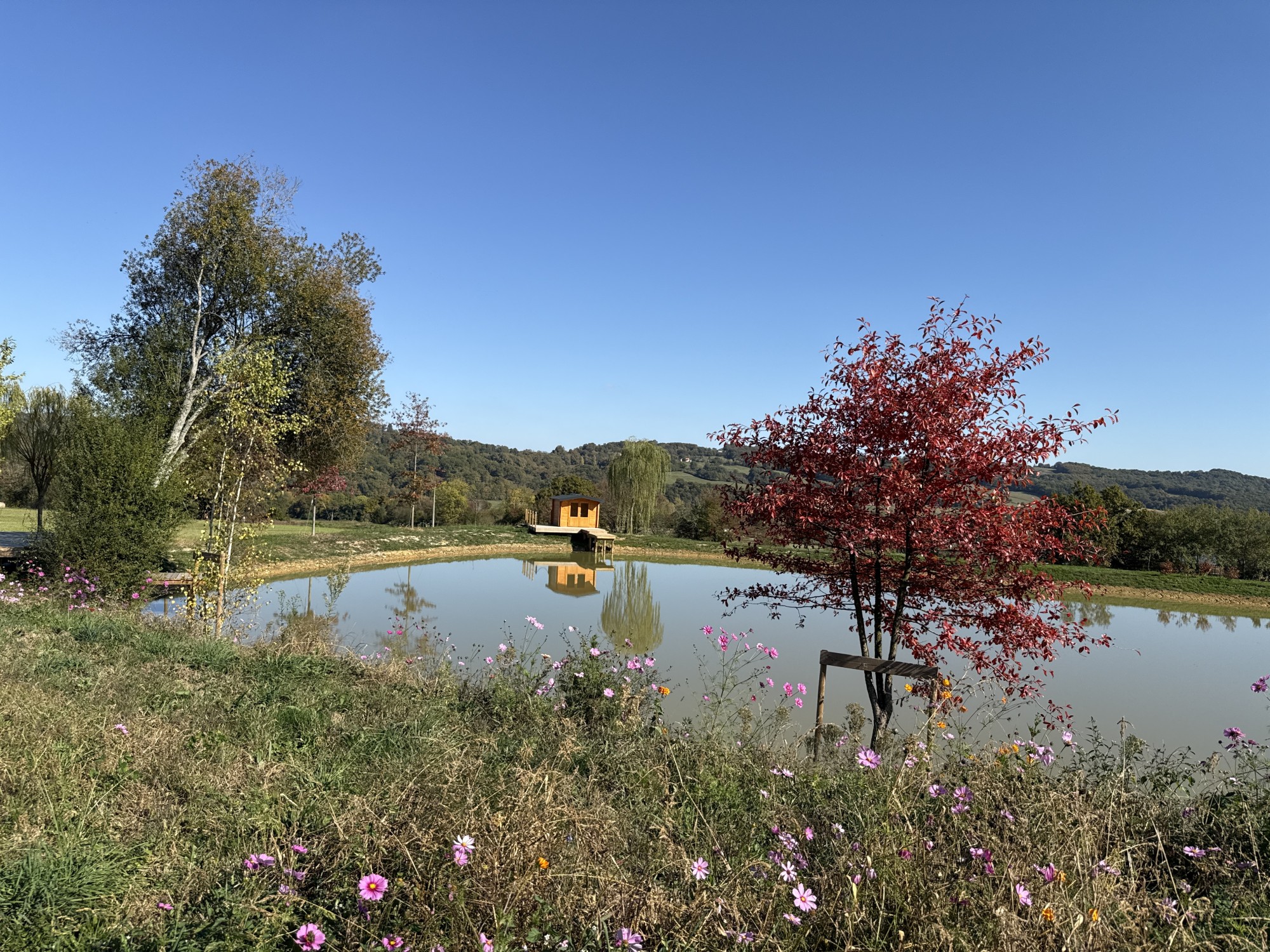 Aménagement extérieur d'un domaine à Baliracq-Maumusson (64)