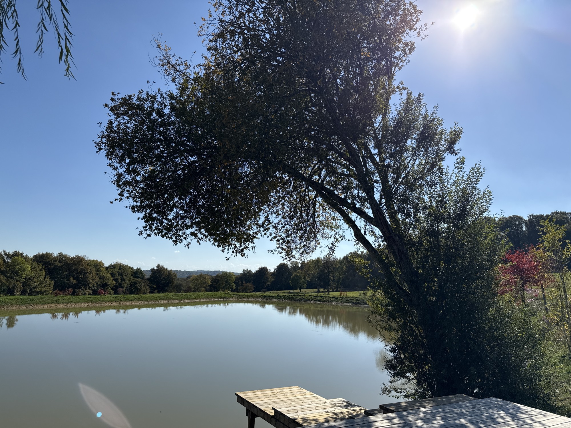 Aménagement extérieur d'un domaine à Baliracq-Maumusson (64)