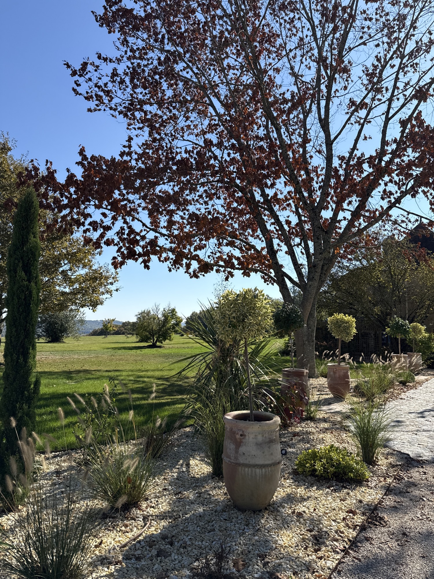 Aménagement extérieur d'un domaine à Baliracq-Maumusson (64)