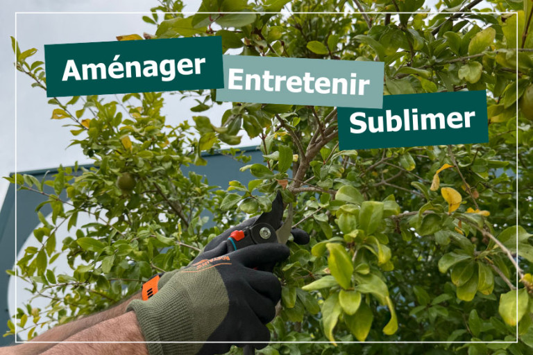 Le secret d’un jardin éclatant : notre guide d’entretien annuel