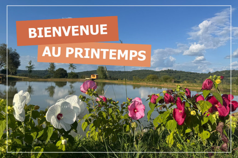 Votre jardin se réveille : les essentiels du printemps